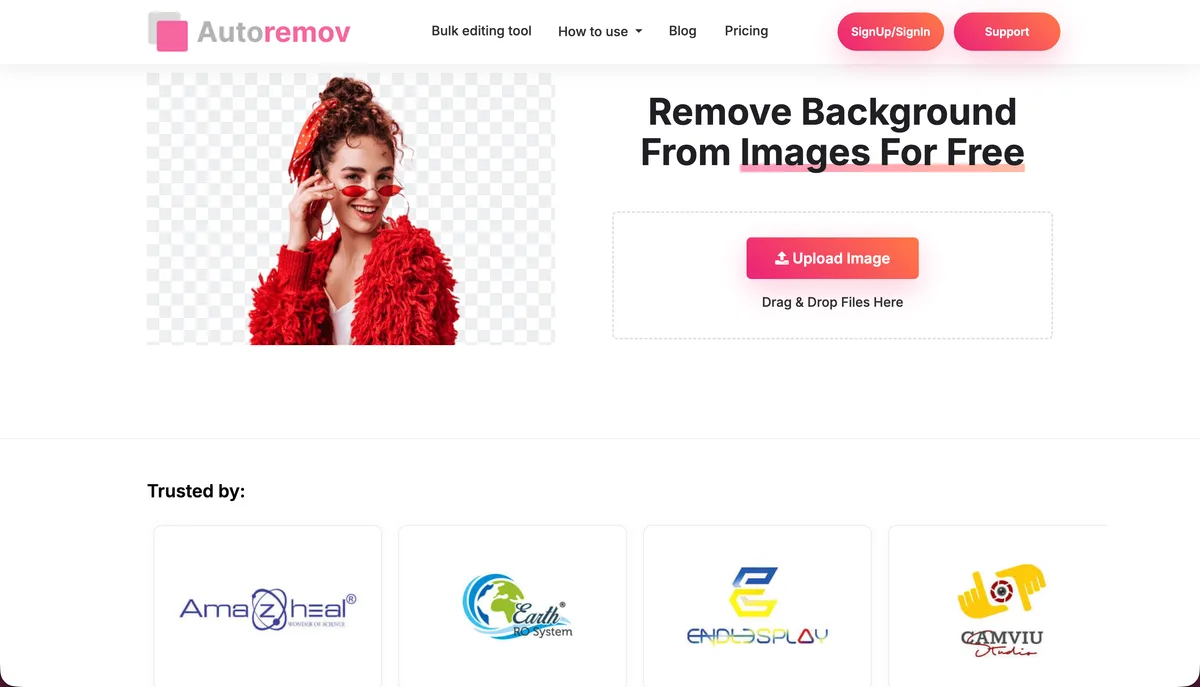 AutoRemov product interface